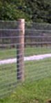 6’ (1.8m) x 5” Round Fencing Post 6’ (1.8m) x 5” Round Fencing Post